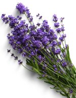 خوشبو کننده هوا دست ساز با رایحه اسطوخودوس | Lavender - تصویر 2