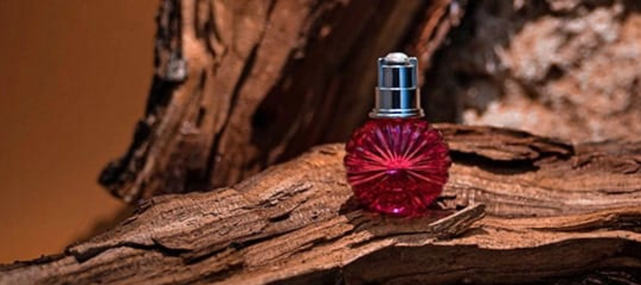 معرفی عطرهای چوبی ادویهای