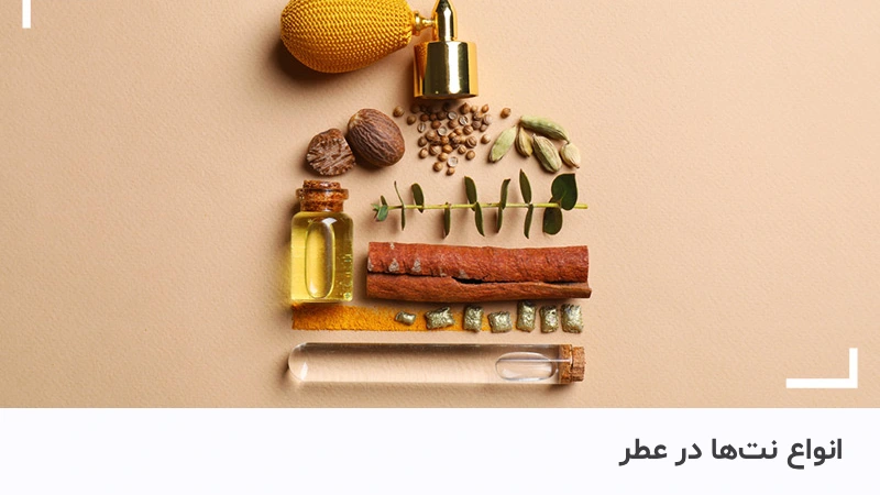 نت در عطر